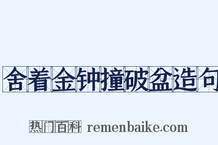 舍着金钟撞破盆造句是什么意思的图片